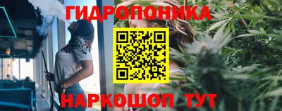 сатива Белореченск