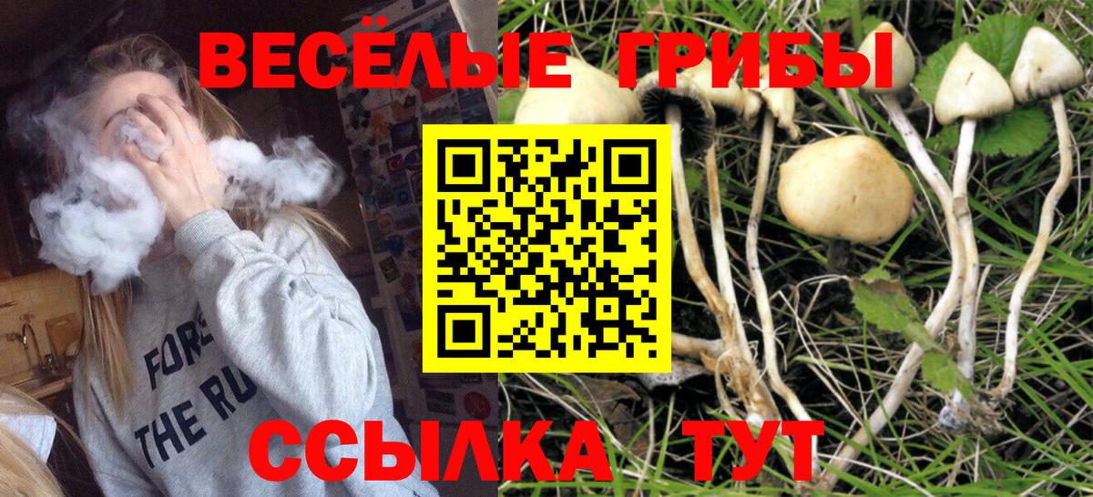 Псилоцибиновые грибы Magic Shrooms  Вход с VPN  Верхняя Салда 